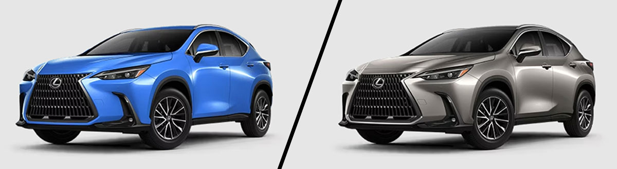 2025 Lexus NX 250 vs NX 350